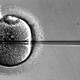 Illustration for article titled British Scientists Seek Permission to Genetically Modify Human Embryos